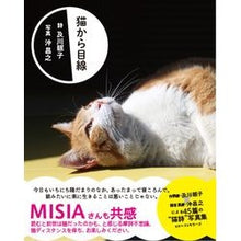 Load image into Gallery viewer, 猫から目線 Big cat cat's perspective