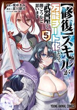 画像をギャラリービューアに読み込む, #星川銀河 #【修復】スキルが万能チート化したので 5 ホシカワギンガ :9784592164555