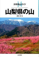 Load image into Gallery viewer, #NagasawaHiroshi #YamanashiMountains