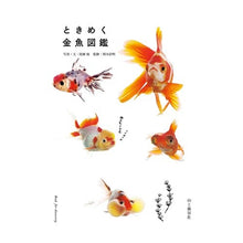 画像をギャラリービューアに読み込む, ときめく金魚図鑑