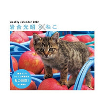 Load image into Gallery viewer, カレンダー ’22 岩合光昭×ねこ