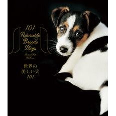 世界の美しい犬101