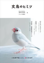 画像をギャラリービューアに読み込む, #海老沢和荘 #文鳥のヒミツ