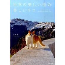 画像をギャラリービューアに読み込む, 世界の美しい街の美しいネコ
