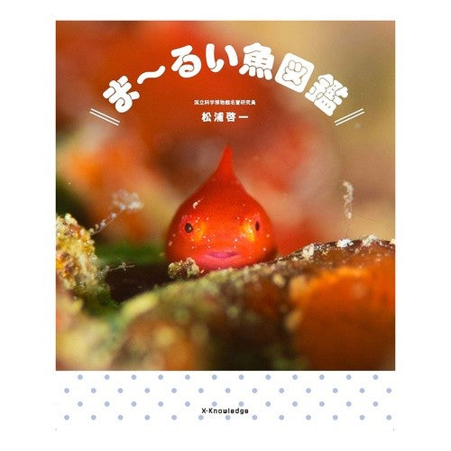 #松浦 啓一 #ま~るい魚図鑑 マツウラケイイチ :9784767828336