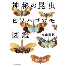 Load image into Gallery viewer, 神秘の昆虫 ビワハゴロモ図鑑 Maruyamamnetoshi Mysterious Insect Biwahagoromo Illustrated Encyclopedia