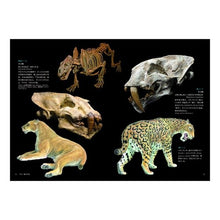 画像をギャラリービューアに読み込む, 古第三紀・新第三紀・第四紀の生物 上 Tsuchiyaken Creatures of the Paleogene, Neogene, and Quaternary periods, Part 1