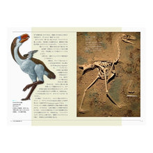 Load image into Gallery viewer, 古第三紀・新第三紀・第四紀の生物 下 Tsuchiyaken Organisms of the Paleogene, Neogene, and Quaternary periods, Part 2