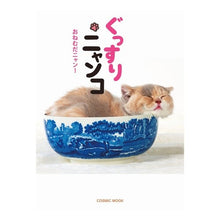 画像をギャラリービューアに読み込む, ぐっすりニャンコ