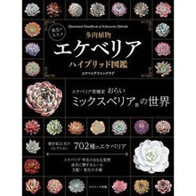 画像をギャラリービューアに読み込む, 多肉植物エケベリアハイブリッド図鑑
