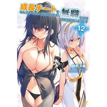 画像をギャラリービューアに読み込む, 成長チートでなんでもできるようにな 12