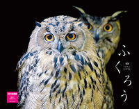 Load image into Gallery viewer, #NekoPublishing #2023OwlCalendar