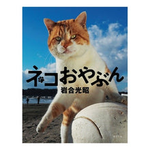 画像をギャラリービューアに読み込む, ネコおやぶん Mitsuaki Iwago