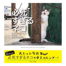 画像をギャラリービューアに読み込む, ミニカレンダー ’22 必死すぎるネコ