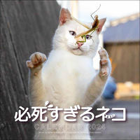 画像をギャラリービューアに読み込む, #沖昌之 #’24必死すぎるネコカレンダー