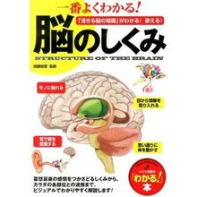 画像をギャラリービューアに読み込む, 一番よくわかる!脳のしくみ