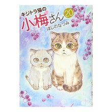 画像をギャラリービューアに読み込む, キジトラ猫の小梅さん 20