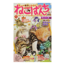 画像をギャラリービューアに読み込む, ねこぱんち 夜ふかし猫号