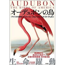 Load image into Gallery viewer, オーデュボンの鳥 『アメリカの鳥類』セレ