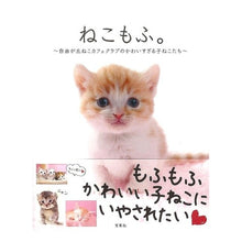 画像をギャラリービューアに読み込む, ねこもふ。