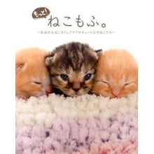 画像をギャラリービューアに読み込む, もっと!ねこもふ。~自由が丘ねこカフェク