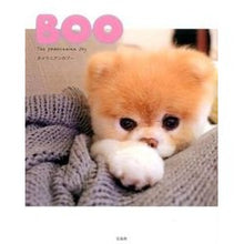 画像をギャラリービューアに読み込む, BOO