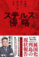 画像をギャラリービューアに読み込む, #佐々木類 #ステルス侵略