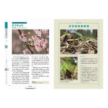 Load image into Gallery viewer, 美しい日本の蝶図鑑
