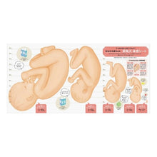 画像をギャラリービューアに読み込む, 最新!初めての妊娠・出産新百科 latest! New Encyclopedia of First Pregnancy and Childbirth