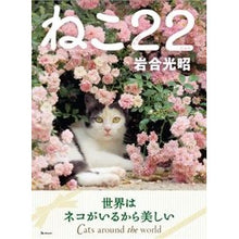 画像をギャラリービューアに読み込む, ねこ22
