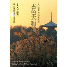 Load image into Gallery viewer, 入江泰吉の心象風景 古色大和路