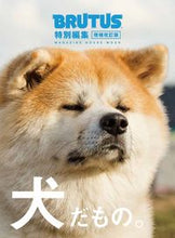 画像をギャラリービューアに読み込む, #マガジンハウス #増補改訂版犬だもの。