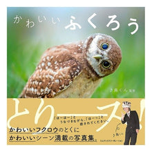 画像をギャラリービューアに読み込む, かわいいふくろう