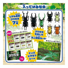 画像をギャラリービューアに読み込む, リアル造形図鑑 クワガタ