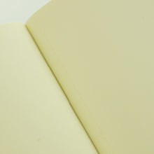 Load image into Gallery viewer, 【訳アリ廃版商品、一部日焼け跡あり。】 MOLESKINE モレスキン(モールスキン) ノート A6 ヴォラン プレーンノートブック 無地 2冊セット ポケット グリーン a6 :9784863732377