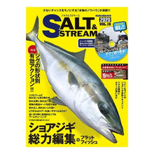 画像をギャラリービューアに読み込む, SALT&STREAM 19 DVD付