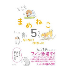 画像をギャラリービューアに読み込む, まめねこ 5 なになに?これな~に!