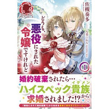 画像をギャラリービューアに読み込む, どうも、悪役にされた令嬢ですけれど 1