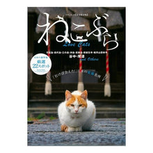 Load image into Gallery viewer, ねこぶら