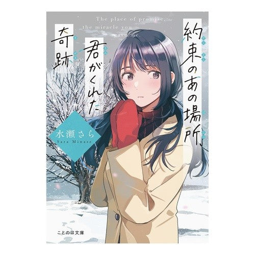 #水瀬さら #約束のあの場所、君がくれた奇跡 ミナセサラ :9784867165584