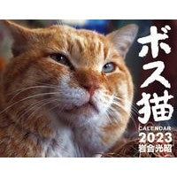 画像をギャラリービューアに読み込む, ’23 ボス猫カレンダー