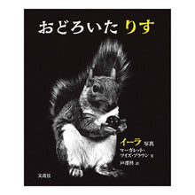 画像をギャラリービューアに読み込む, おどろいたりす