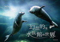 画像をギャラリービューアに読み込む, #あき #’24幻想的な水族館の世界カレンダー :9784895319331