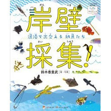 画像をギャラリービューアに読み込む, 岸壁採集! 漁港で出会える幼魚たち