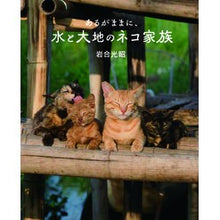 画像をギャラリービューアに読み込む, あるがままに、水と大地のネコ家族 Mitsuaki Iwago
