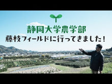 ギャラリービューア#稲垣 栄洋 #野に咲く花便利帳 イナガキヒデヒロ 主婦の友社 : Eihiro Inagaki Handbook of flowers blooming in the wild :9784074189236に読み込んでビデオを見る