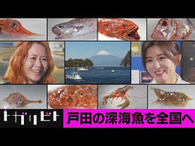 ギャラリービューア#深海魚 #レス―ヘタくそなのはお互いさまです。 2 フカミサカナ 小学館 レス-ヘタくそなのはお互いさまです。- (2) (フラワーコミックスα) : deep sea fish Reply: It's both of you who are crap. :9784098725182に読み込んでビデオを見る