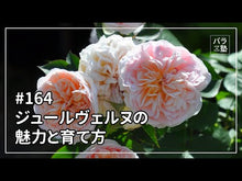 ギャラリービューア#ヴェルヌ #地底旅行 改版 ヴエルヌ KADOKAWA 地底旅行 (角川文庫) : verne Underground Journey Revised Edition :9784042022121に読み込んでビデオを見る