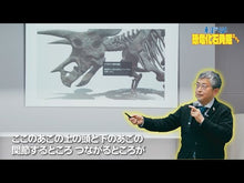 ギャラリービューア#真鍋真 #きみも恐竜博士だ!真鍋先生の恐竜教室 マナベマコト --- 岩波書店 きみも恐竜博士だ! 真鍋先生の恐竜教室 : Makoto Manabe You too are a dinosaur doctor! :9784001160420に読み込んでビデオを見る