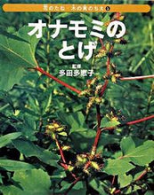 画像をギャラリービューアに読み込む, #多田 多恵子 監修 #オナモミのとげ タダタエコ :9784034143506